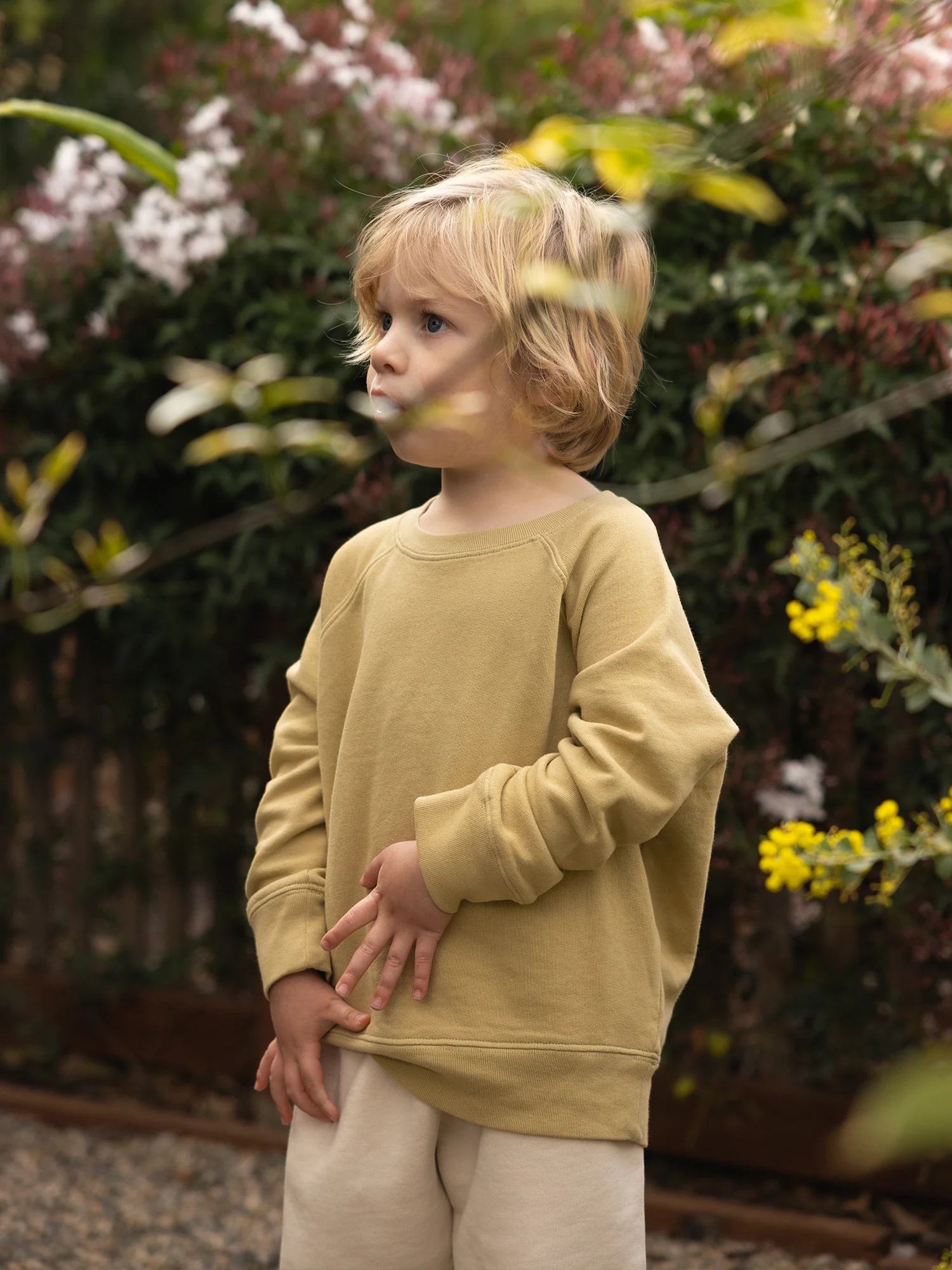 Mini Organic Lightweight Terry Raglan Sweatshirt - Image 3