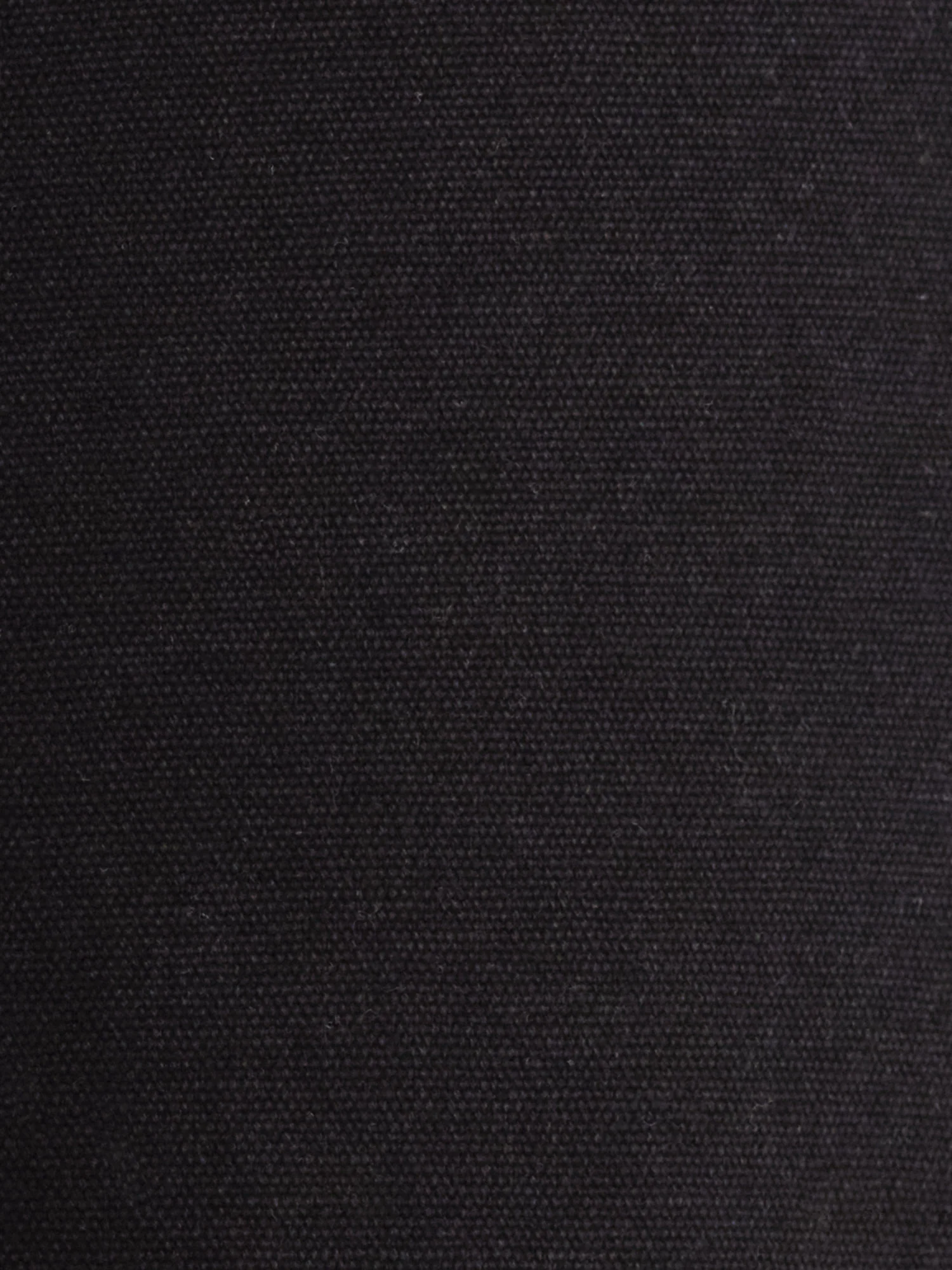 Organic Cotton Canvas Five Pocket Pant - Image 6